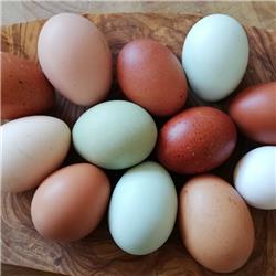 Box of 6 Eggs